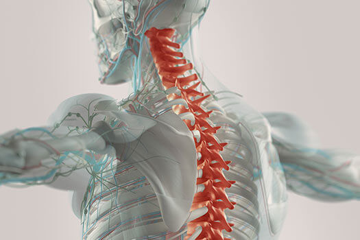 Connections Between Spine Misalignment & Vision