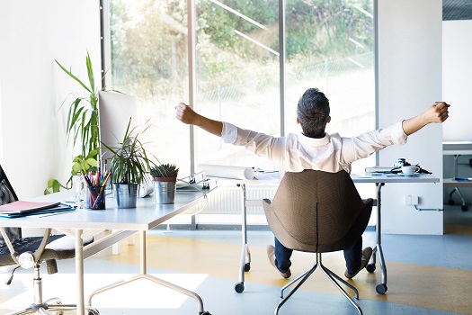 healthy back office chair